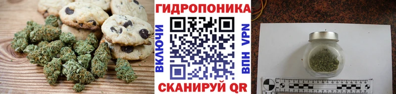 blacksprut ONION  Аркадак  Печенье с ТГК марихуана  это Telegram  что такое  