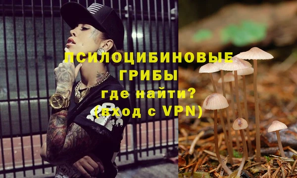 марки lsd Аркадак