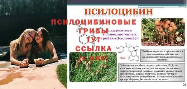 трава Арсеньев