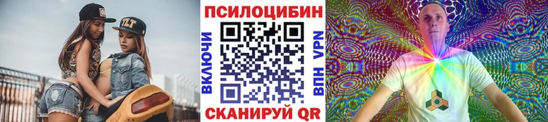 Псилоцибиновые грибы Psilocybine cubensis Аркадак